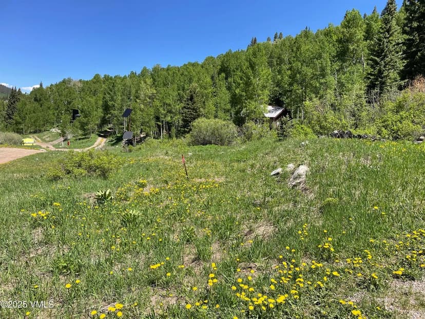 Vacant Land in Eagle