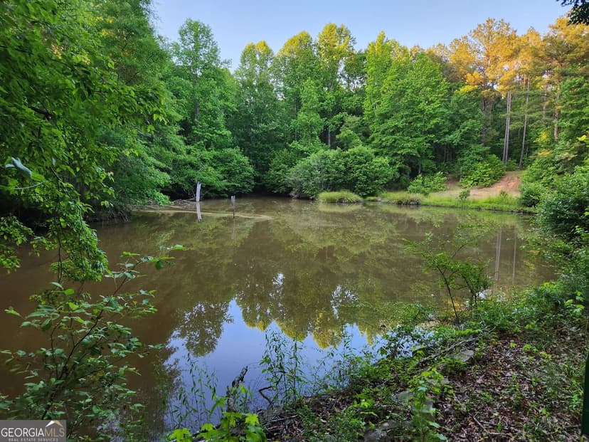 Vacant Land in Locust Grove