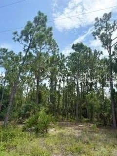 Vacant Land in Punta Gorda - Punta Gorda, Florida, 33955