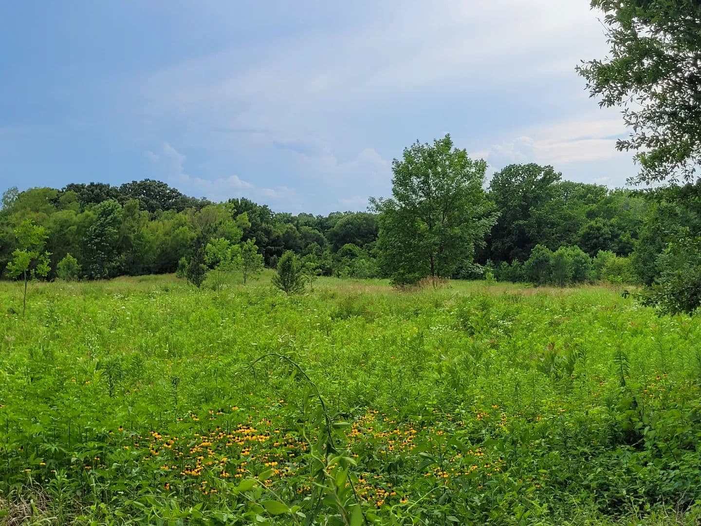 11.2 Acres for Sale Near Clarksville TX with Pond - Clarksville, Texas, 75426