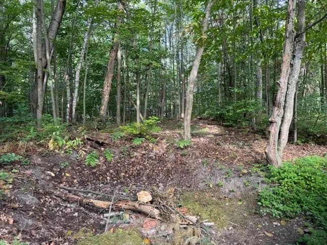 Vacant Land in Gaylord - Gaylord, Michigan, 49735
