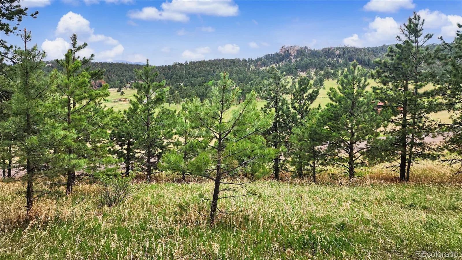Vacant Land in Evergreen - Evergreen, Colorado, 80439