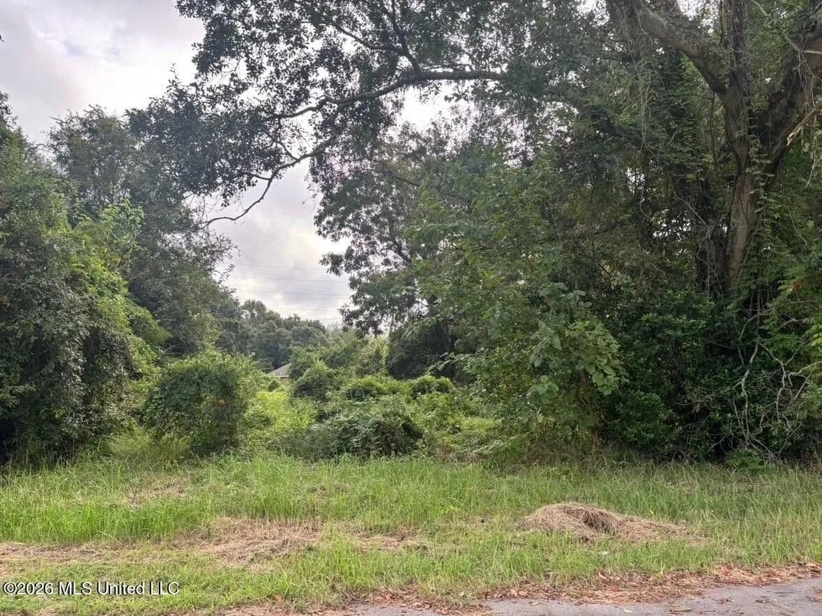 Lots & Land-Other in Gulfport - Gulfport, Mississippi, 39501