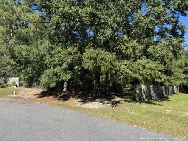 Vacant Land in Hope Mills - Hope Mills, North Carolina, 28348