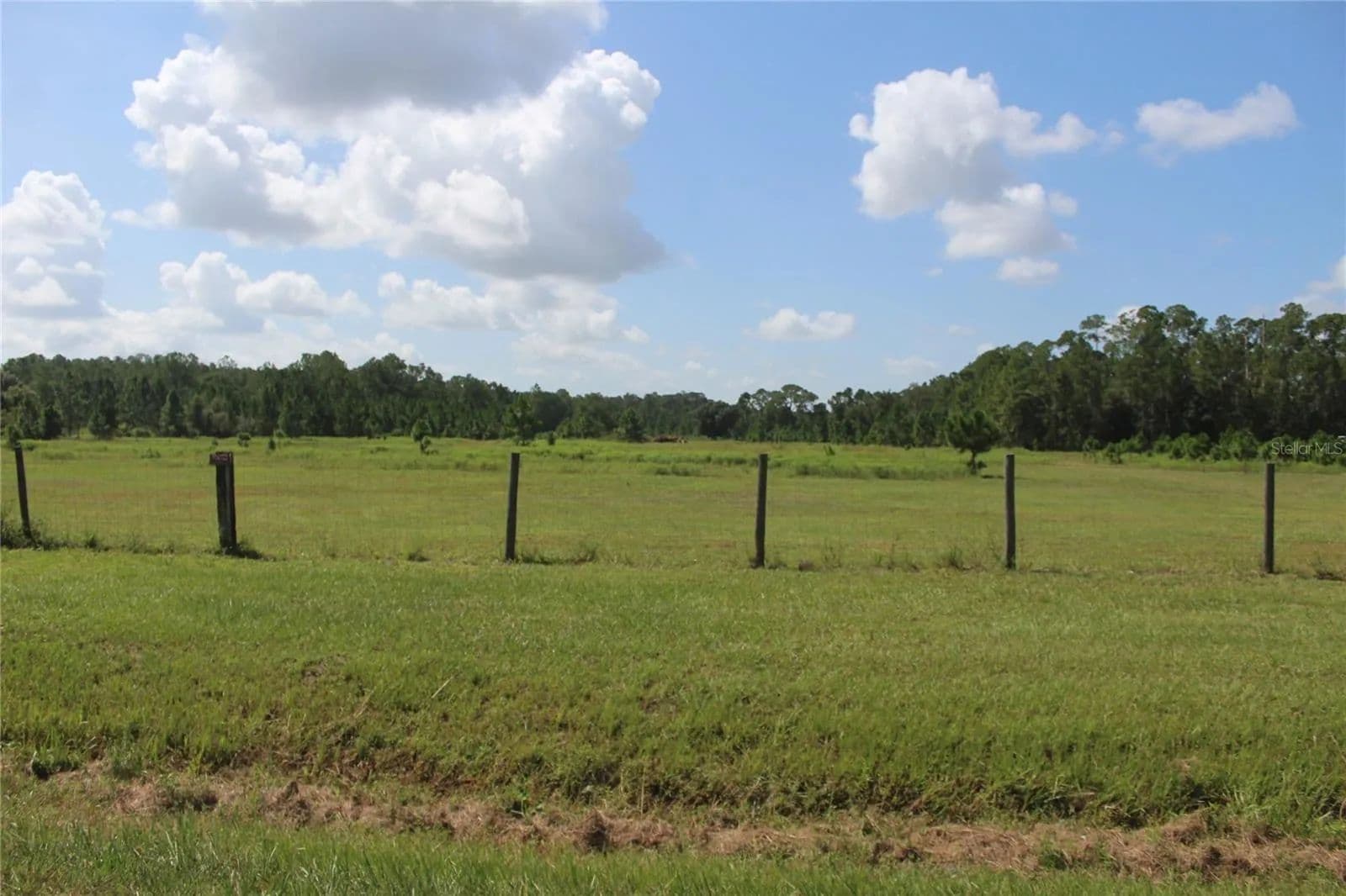 20 Acres of Land for Sale in FROSTPROOF, FL - Frostproof, Florida, 33843