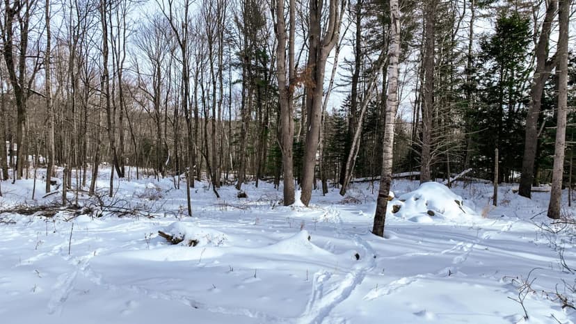 Vacant Land in Brooks