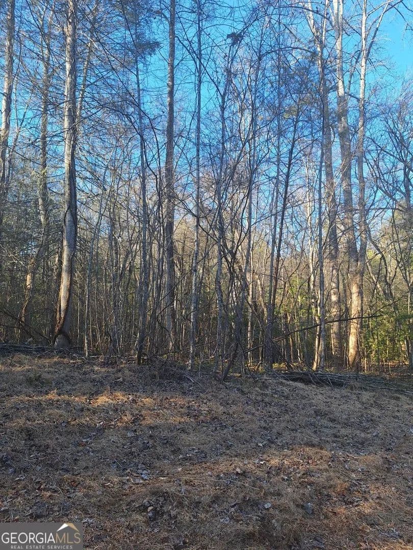 Lots & Land-Other in Blue Ridge
