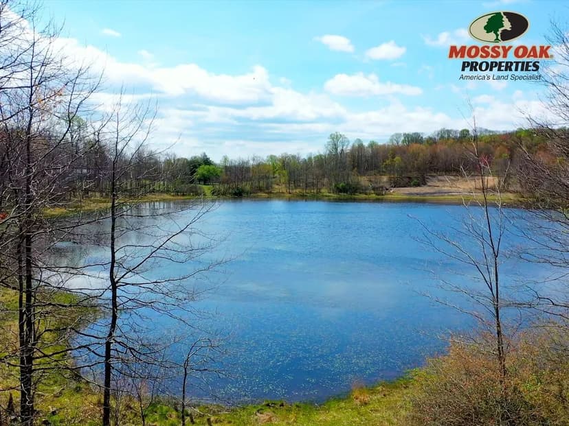 Lake Pyle - 39± Acres