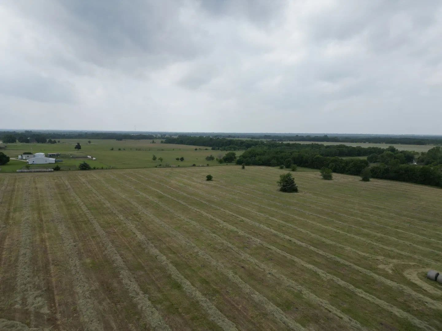 Land -Single Family Acreage in Cooper - Cooper, Texas, 75432