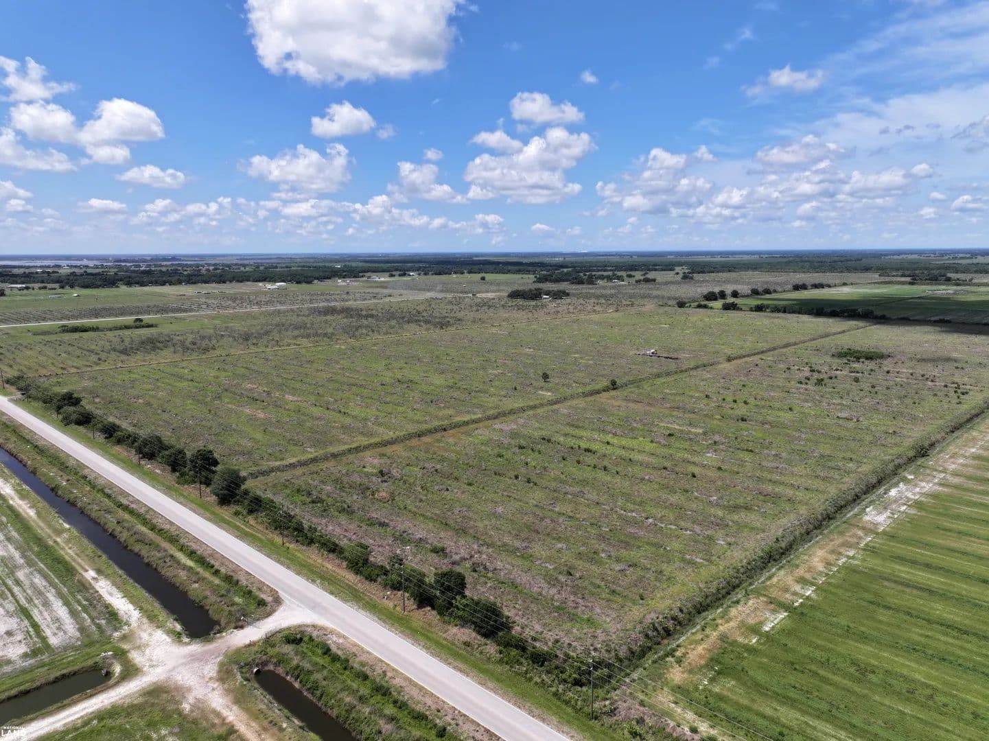 Arcadia Agricultural Development Land with Irrigation - Arcadia, Florida, 34266