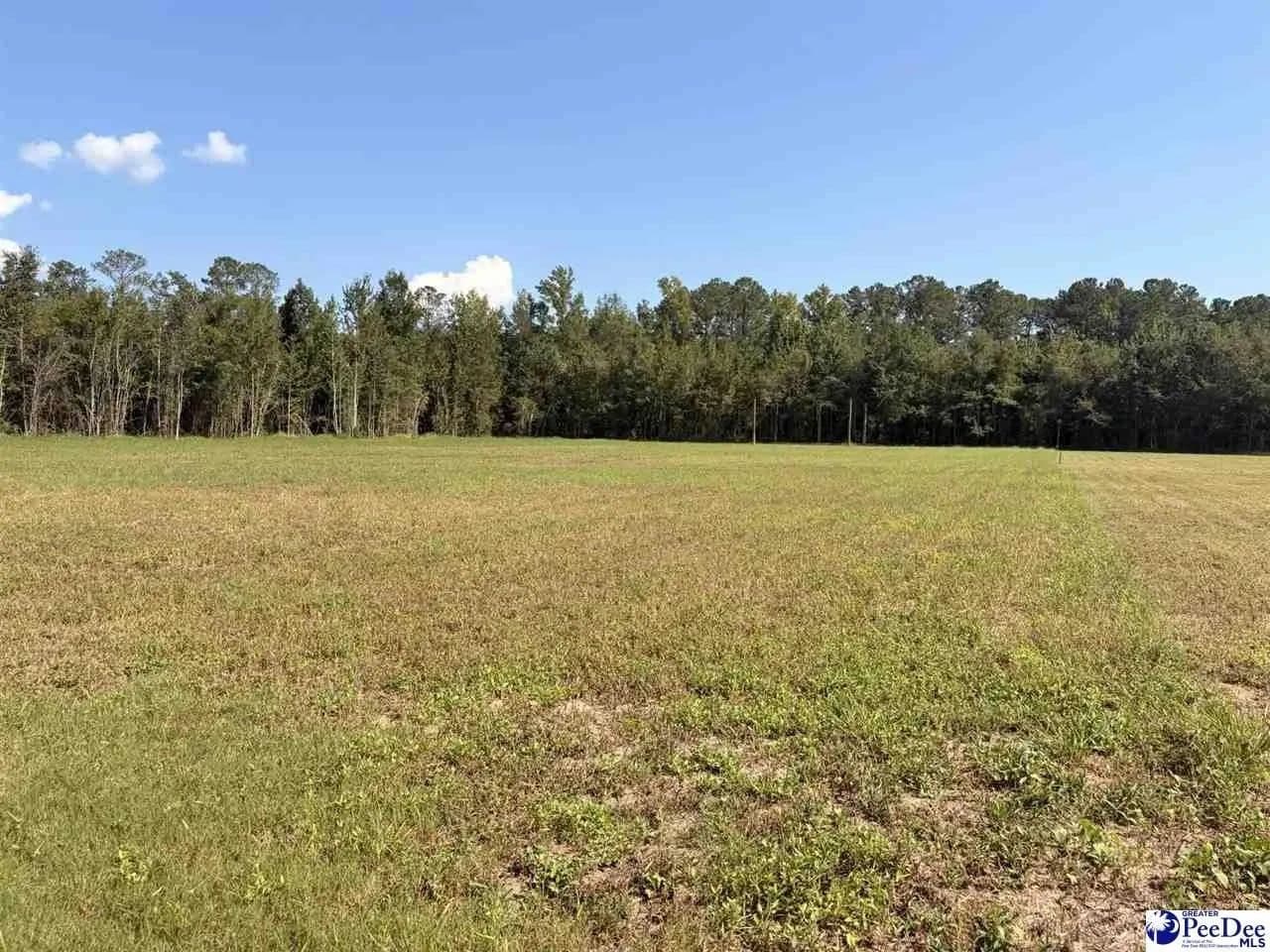 Lots & Land-Other in Olanta - Olanta, South Carolina, 29114