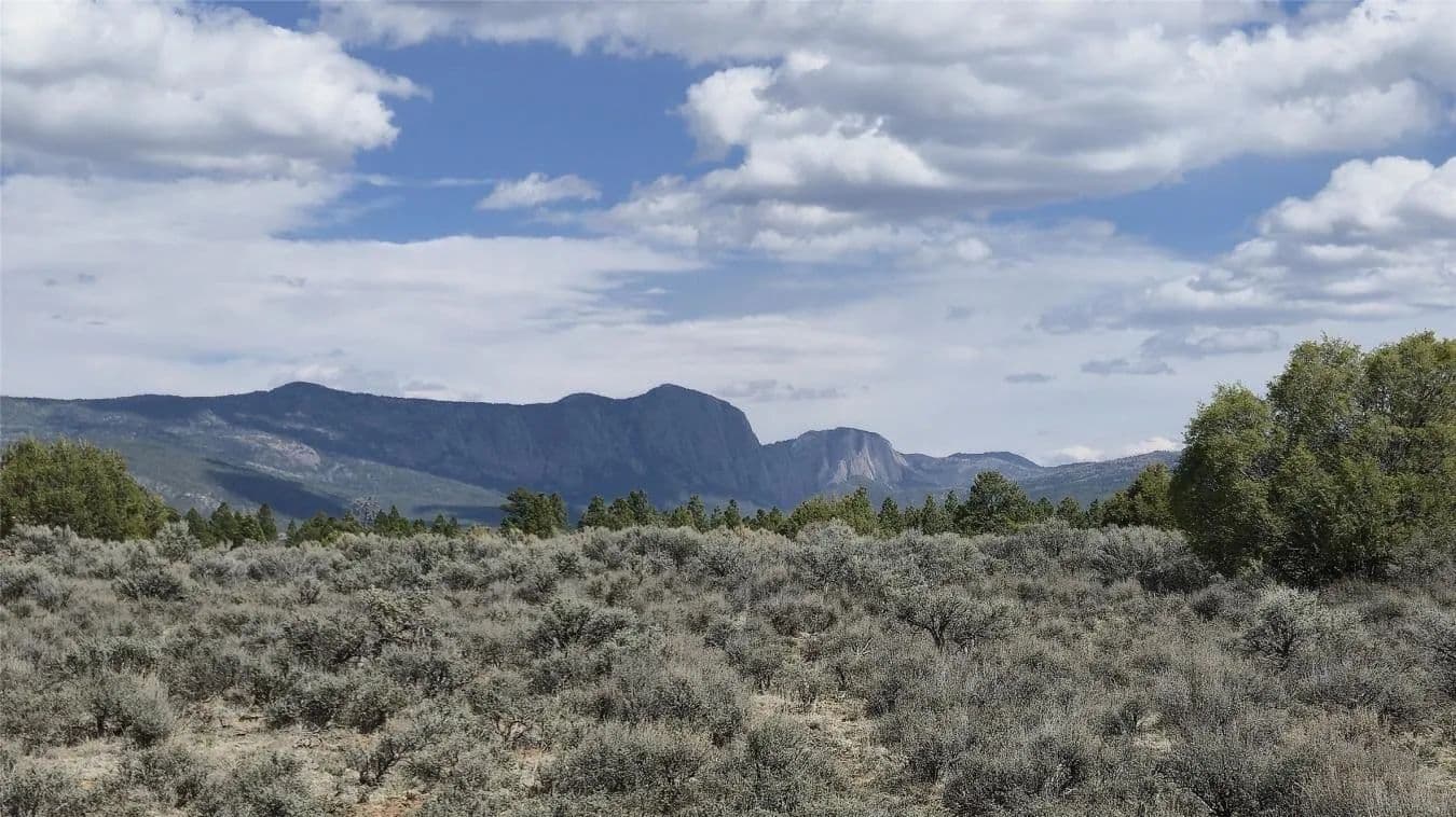 XX County Road 339A - Los Ojos, New Mexico, 87551