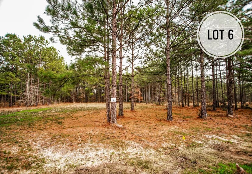 Lots & Land-Other in Anacoco