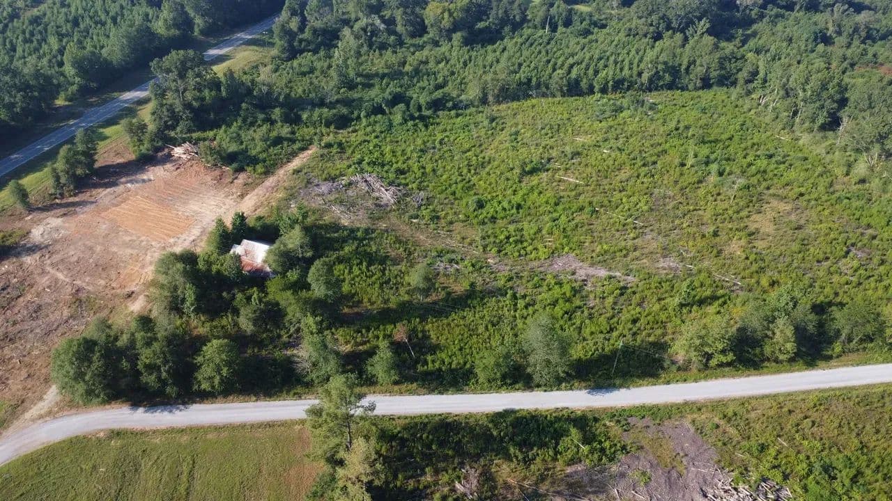 3 Acre Homesite Marion County - Columbia, Mississippi, 39429