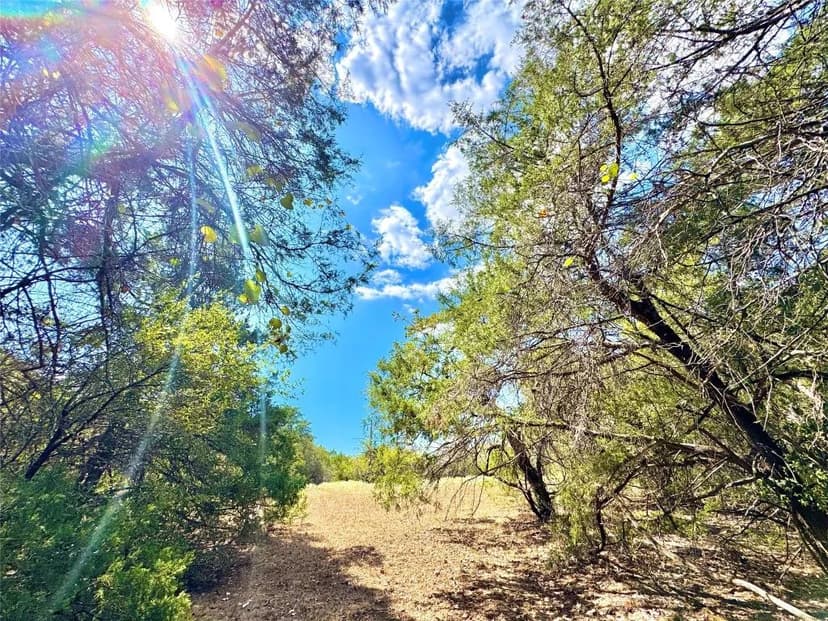 Property from TBD 50.62 Acres Rabel Road - KW