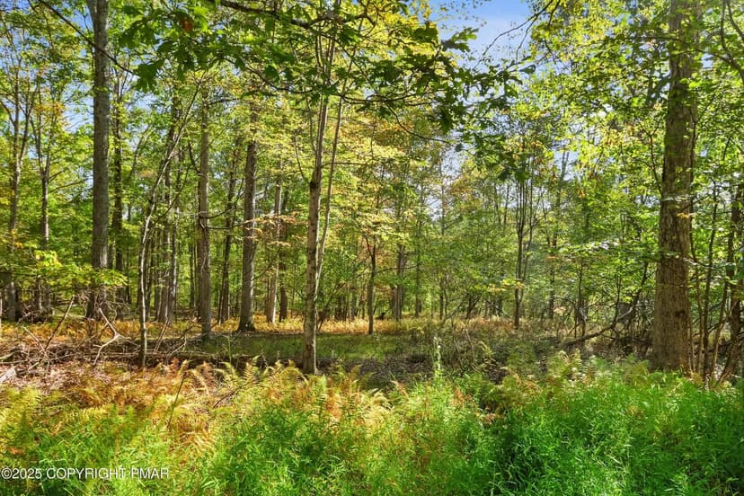 Property from Spring Run Ln 17 - KW