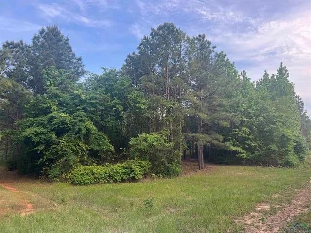 Vacant Land (0-10 Acres) in Henderson