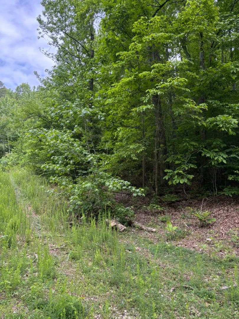 7 Acres in Marion County, TN 