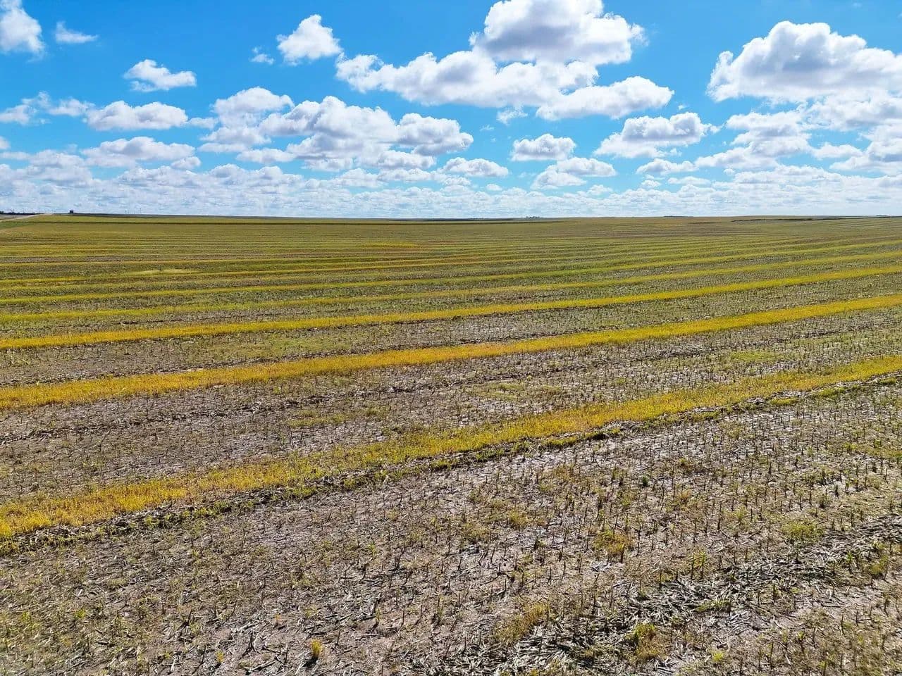 Quality Tillable Parcel with Cash Lease Agreement - Lodgepole, Nebraska, 69149