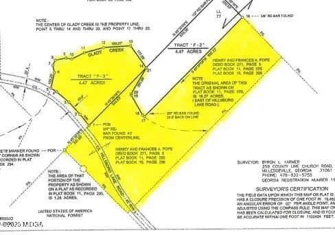 19.53 Acres of Land for Sale in Hillsboro, GA - Hillsboro, Georgia, 31038