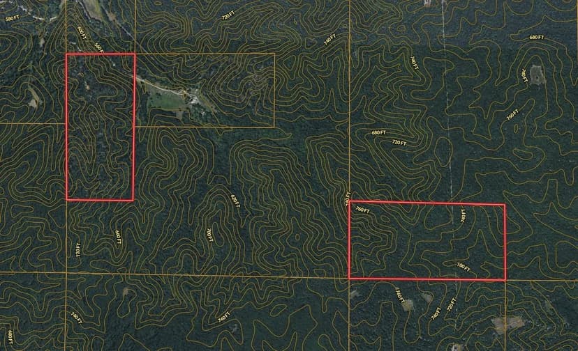 Secluded 80+/- Wooded Acres For Sale in Wayne Co.