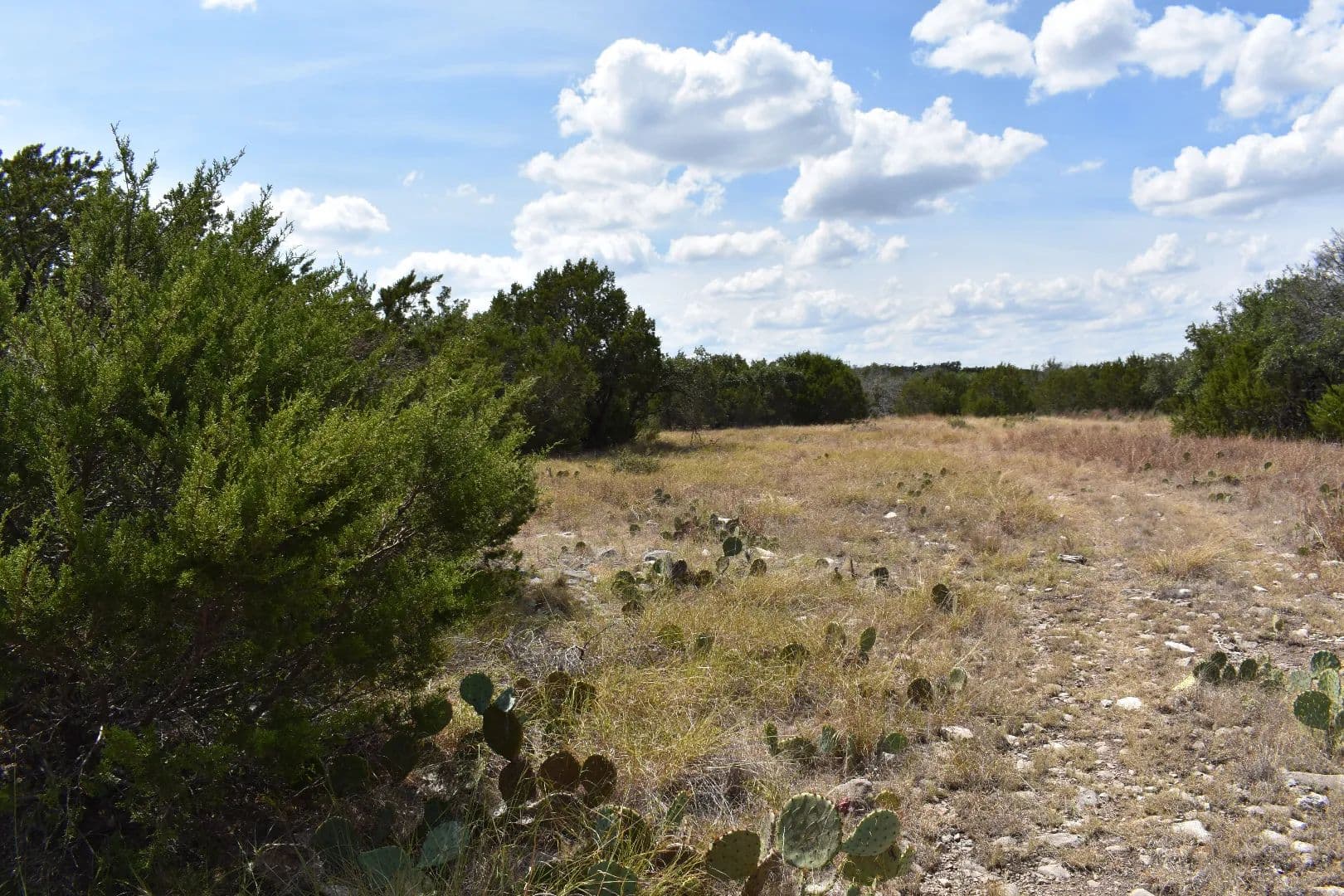 23.33 ACRES - KIMBLE COUNTY - Junction, Texas, 76849