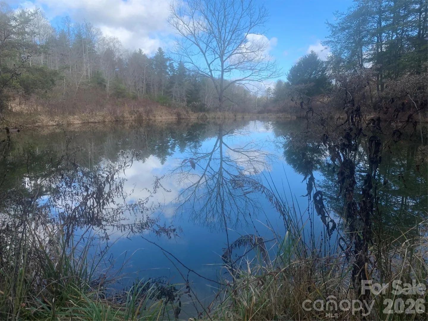 21.5 Acres of Land for Sale in Leicester, NC - Leicester, North Carolina, 28748