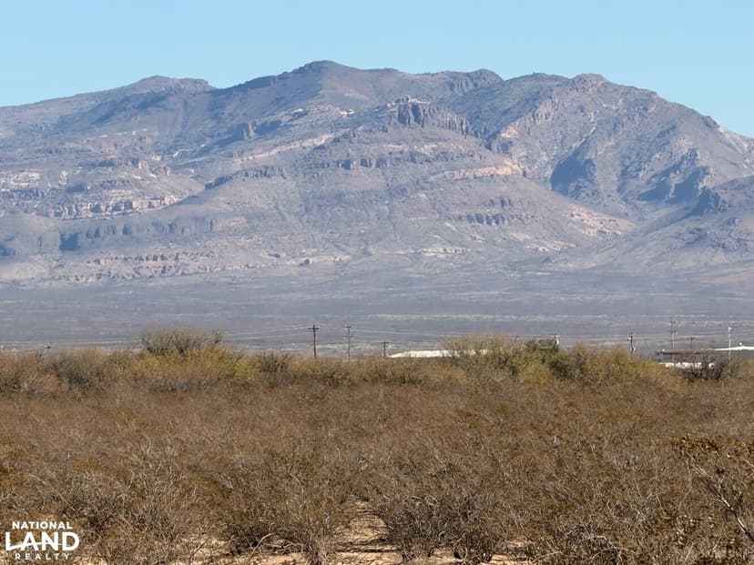 80 Acres San Simon O'Neil Rd Farm, Ranch & Homestead