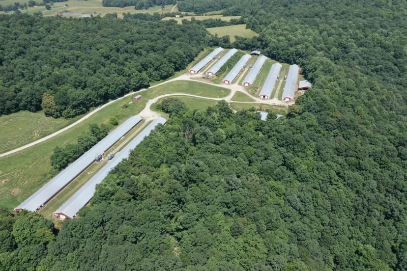 PRICE REDUCED!! King Broiler Farm