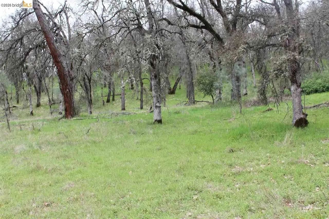Lots & Land-Other in Sonora - Sonora, California, 95370