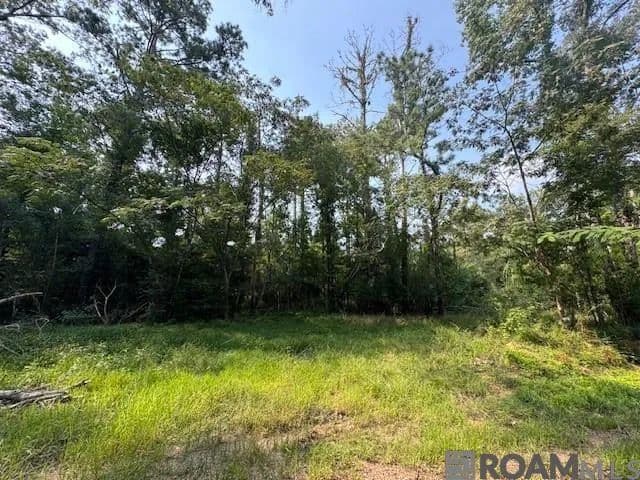 Lots & Land-Other in St Francisville