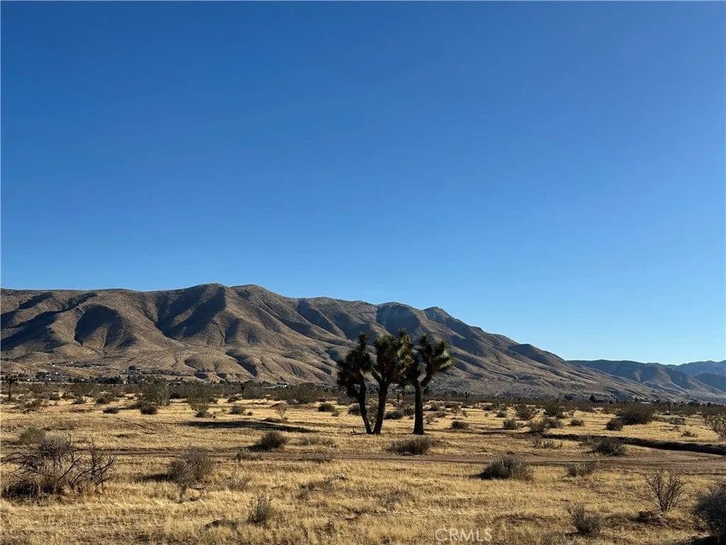 Lots & Land-Other in Apple Valley - Apple Valley, California, 92308