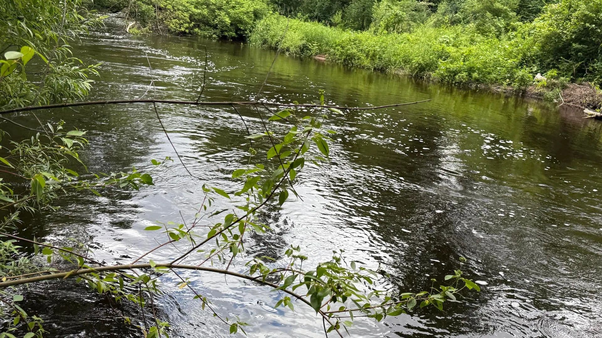 Lots & Land-Other in Branch - Branch, Michigan, 49402