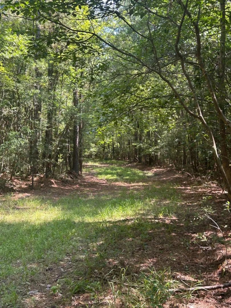 Carol Anderson Tract - Delco, North Carolina, 28436