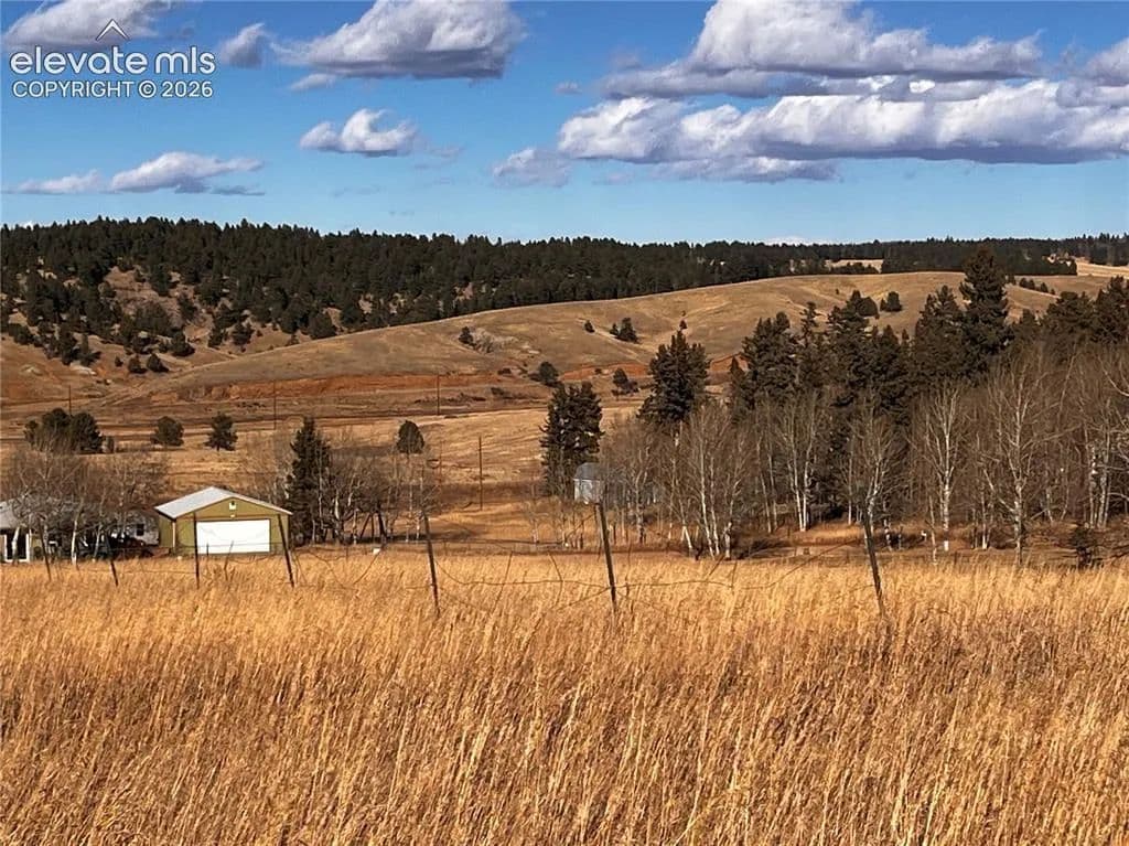 1.38 Acres of Land for Sale in Divide, Colorado - Divide, Colorado, 80814