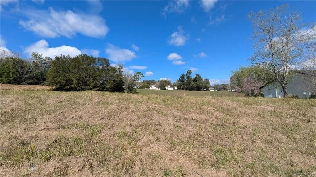 Land -Single Family Acreage in Beverly Hills - Beverly Hills, Florida, 34465