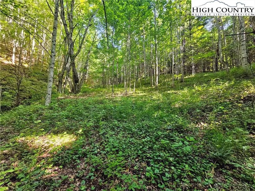 Vacant Land (10+ Acres) in Lansing