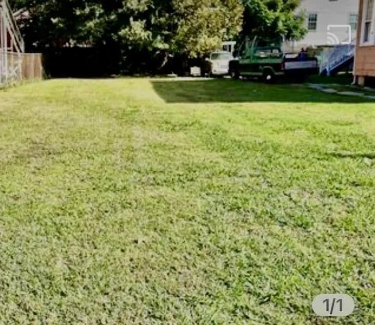 Property from 2319 PENISTON Street - KW