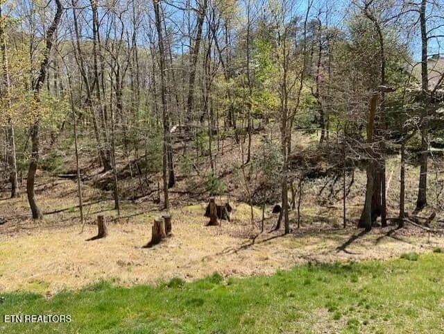 Lots & Land-Other in Fairfield Glade - Fairfield Glade, Tennessee, 38558