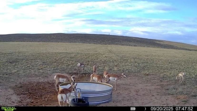 GMU 3 Hunting Property