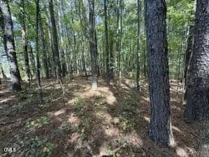 Land -Single Family Acreage in Angier - Angier, North Carolina, 27501