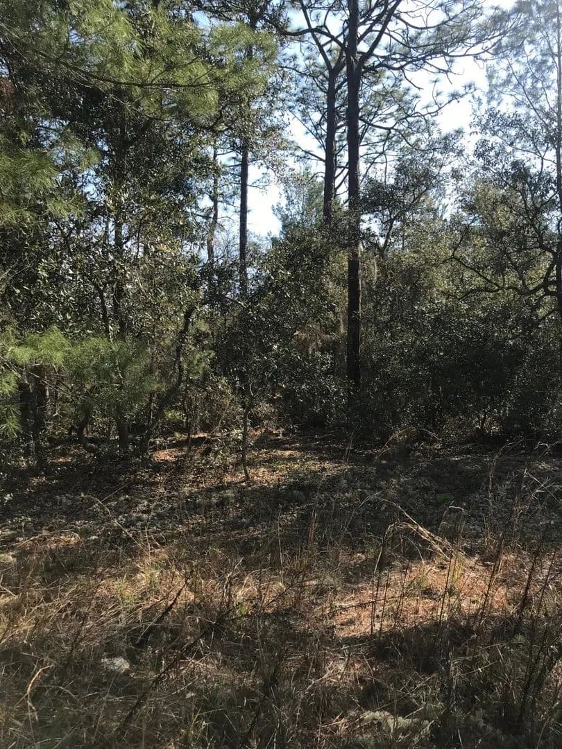 Vacant Land (0-10 Acres) in Satsuma - Satsuma, Florida, 32189
