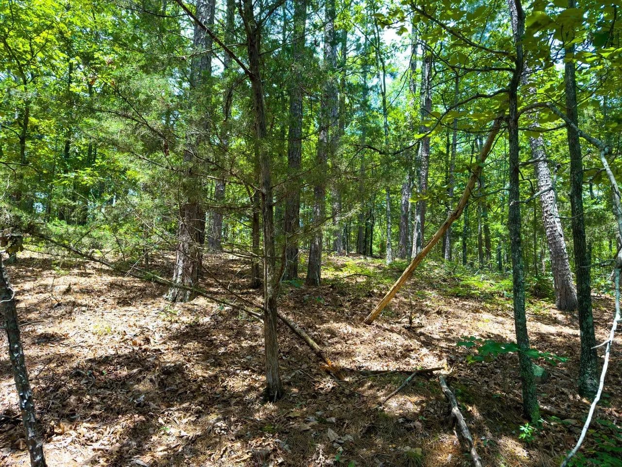 1.22 +/- acre Unrestricted | 1 mile to Boat Launch on Greers Ferry Lake | Shirley, AR | Van Buren County - Shirley, Arkansas, 72153