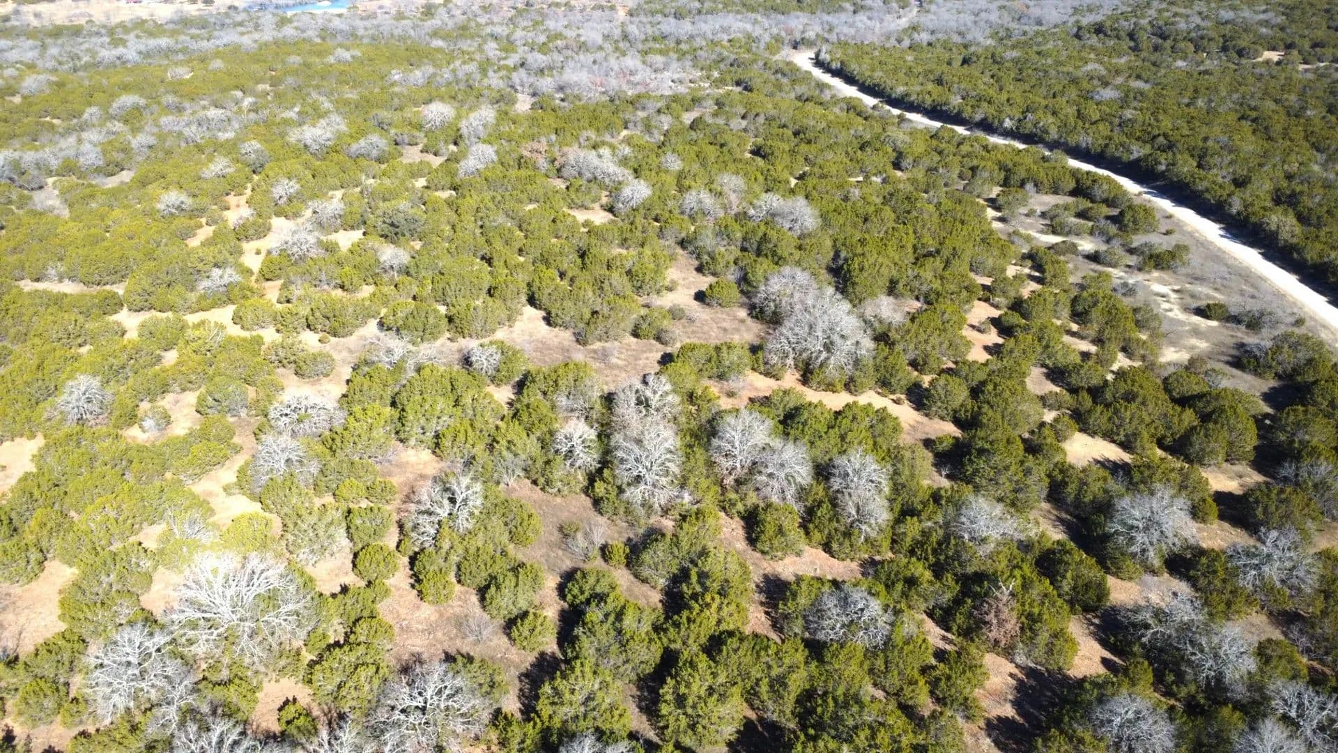 46 Acres of Land for Sale in Ranger, TX - Ranger, Texas, 76470