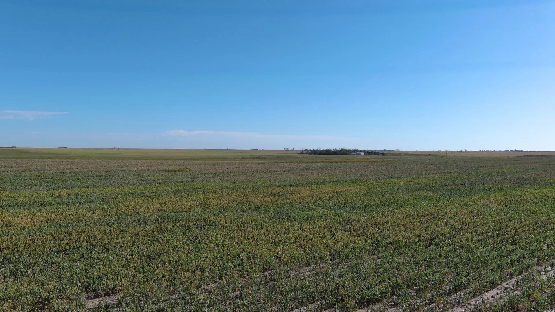 Gurley Dryland - Nebraska, 69141