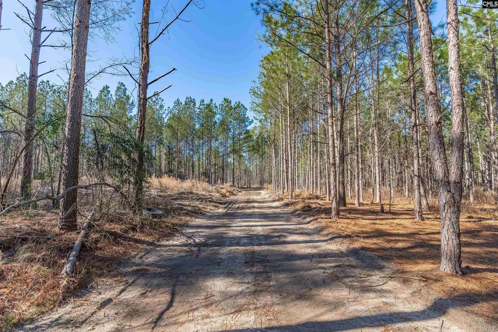 Vacant Land in Batesburg - Batesburg, South Carolina, 29006