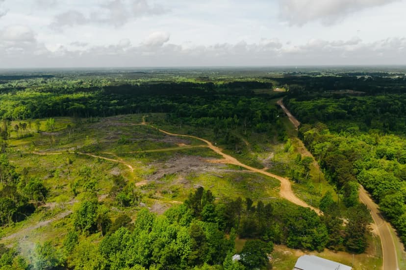 13 Acres in Winston County, MS 