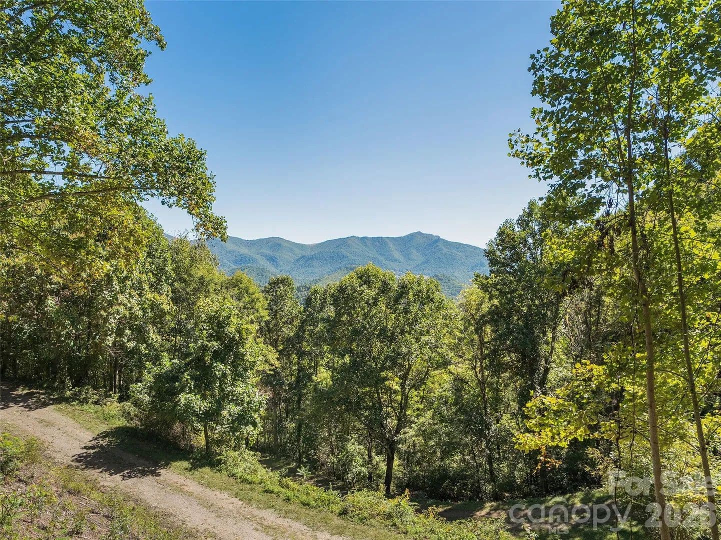 69.4 Acres of Land for Sale in Clyde, NC - Clyde, North Carolina, 28721