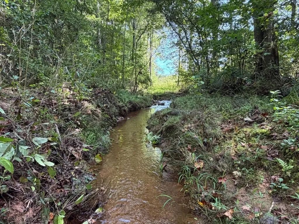 124+/-ac Hunting Tract, with flowing water, in Clay County - Ashland, Alabama, 36251
