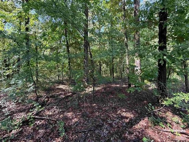 Land -Agricultural (Not Zoned) in Henderson